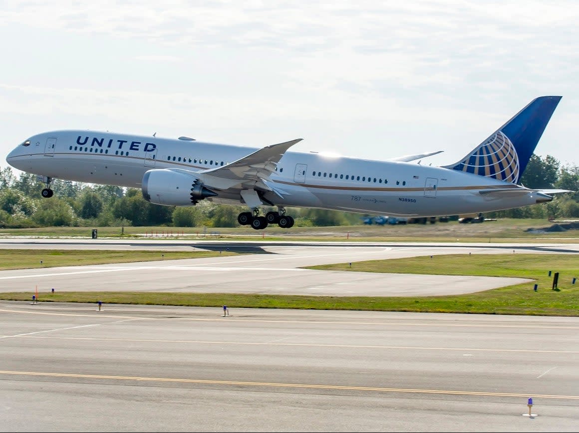 First choice: a United Airlines Boeing 787, the type flown by Dominic Raab (United Airlines)