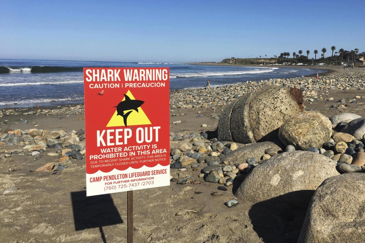 Attack: A sign warns beach goers at San Onofre State Beach after a woman was attacked by a shark in the area: AP