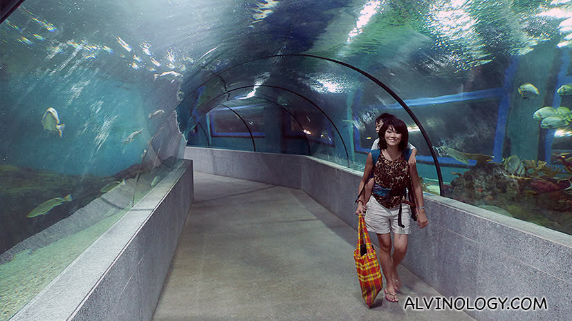 The transparent underwater tunnel