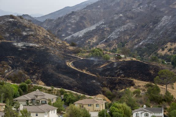 Scorched terrain sits behind houses that were untouched by the La Tuna Fire on September 3, 2017 near Burbank.