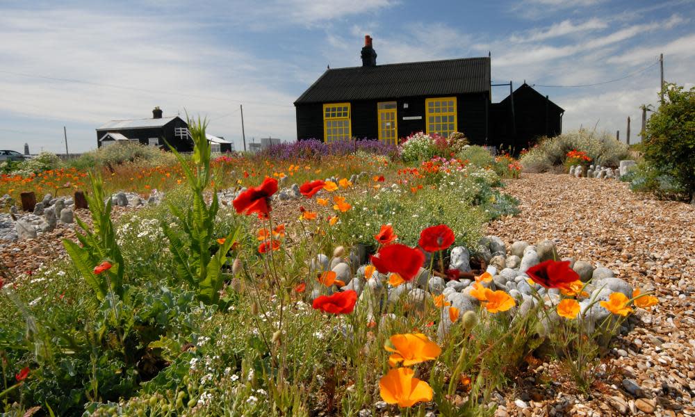 <span>Photograph: Robert Bird/Alamy</span>