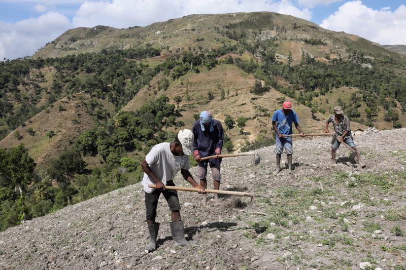 Men prepare the earth for pea farming in Bainet