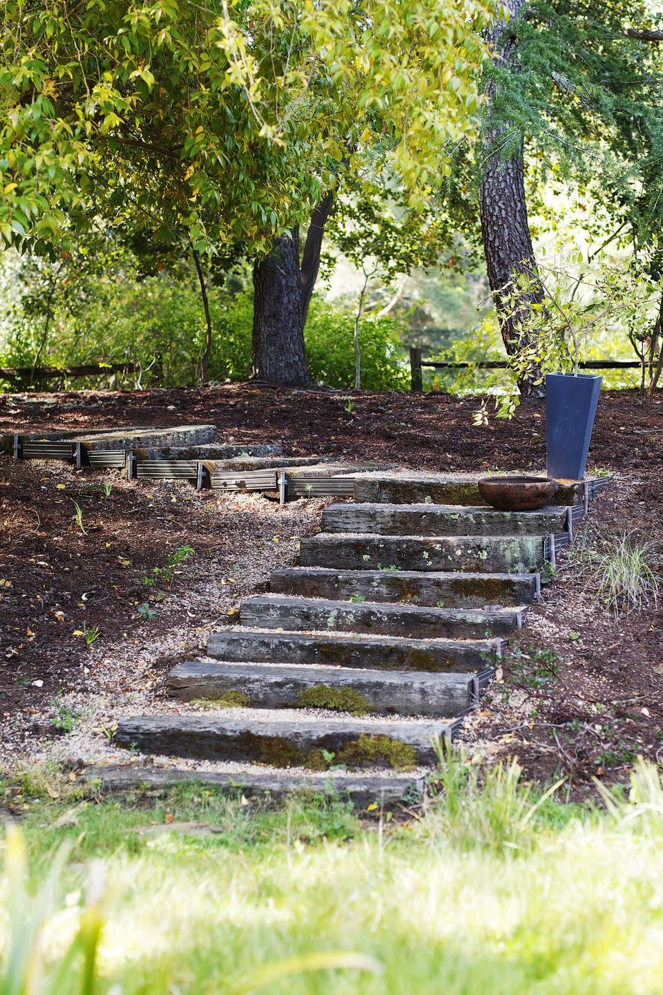 Stone Stairs & Lichens