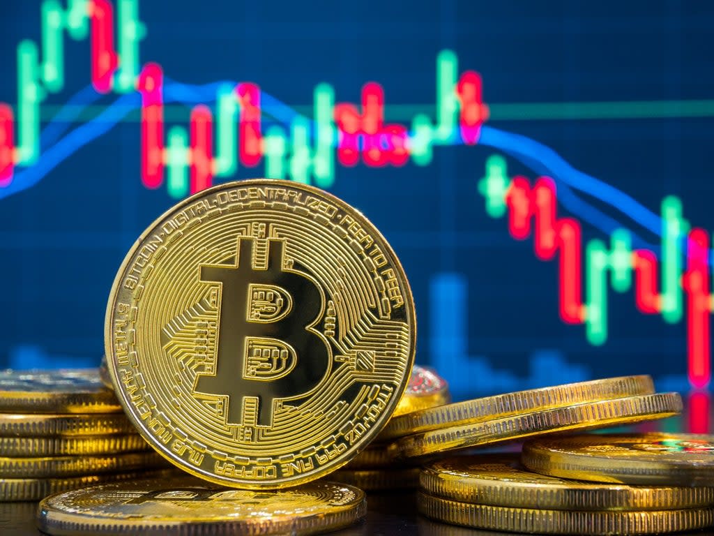 Bitcoin fell in price by nearly 40 per cent between November 2021 and January 2022 (Getty Images)