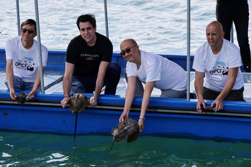 Tagged adult horseshoe crabs released into Tung Chung Bay, marking the initiation of the first underwater automated acoustic telemetry system for a pilot tracking study of endangered horseshoe crabs, in Hong Kong