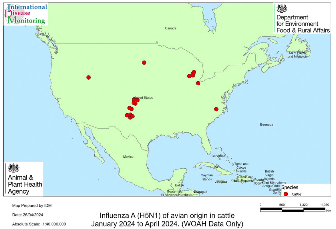 Map showing influenza A (H5N1) outbreaks and cases in cattle in the Americas (locations
are approximate). (Defra)