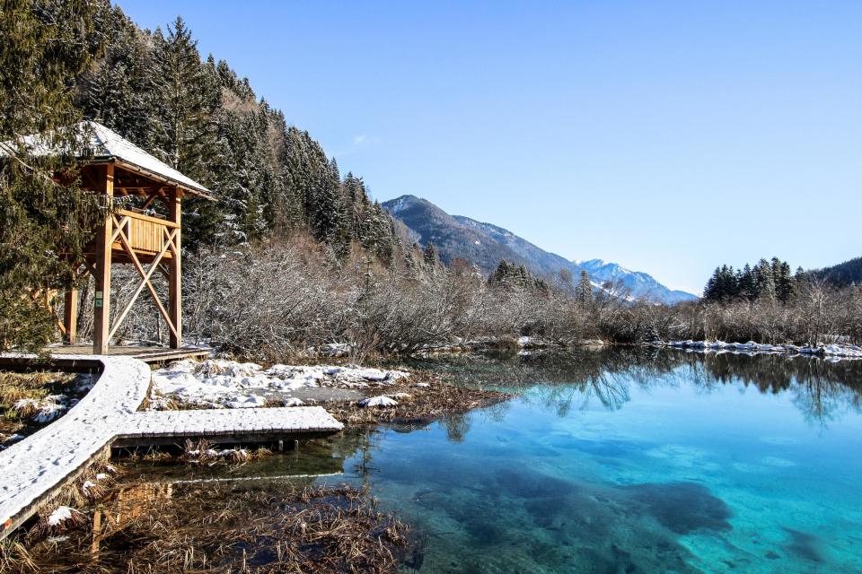 Zelenci, Kranjska Gora, Slovenia (Photo by Katja Nemec on Unsplash)