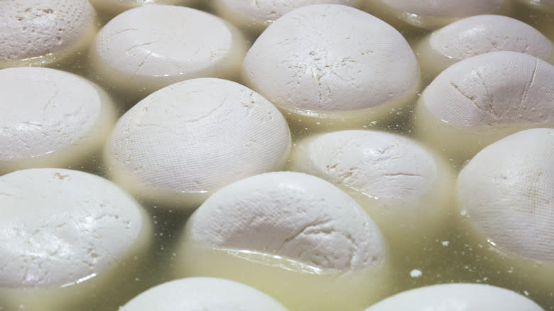 balls of mozzarella in brine