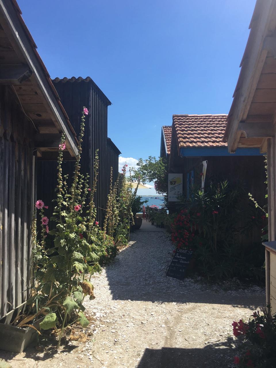 Shot of an alleyway with flowers in Cap-Ferret, France