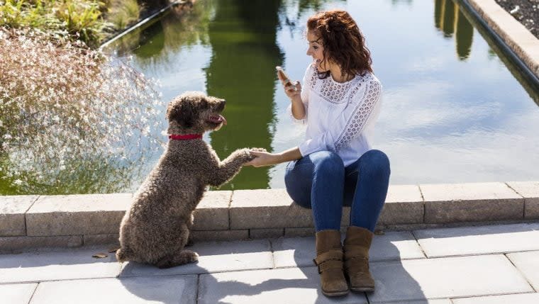 The Most Dog-friendly Instagram Spots in the U.S.
