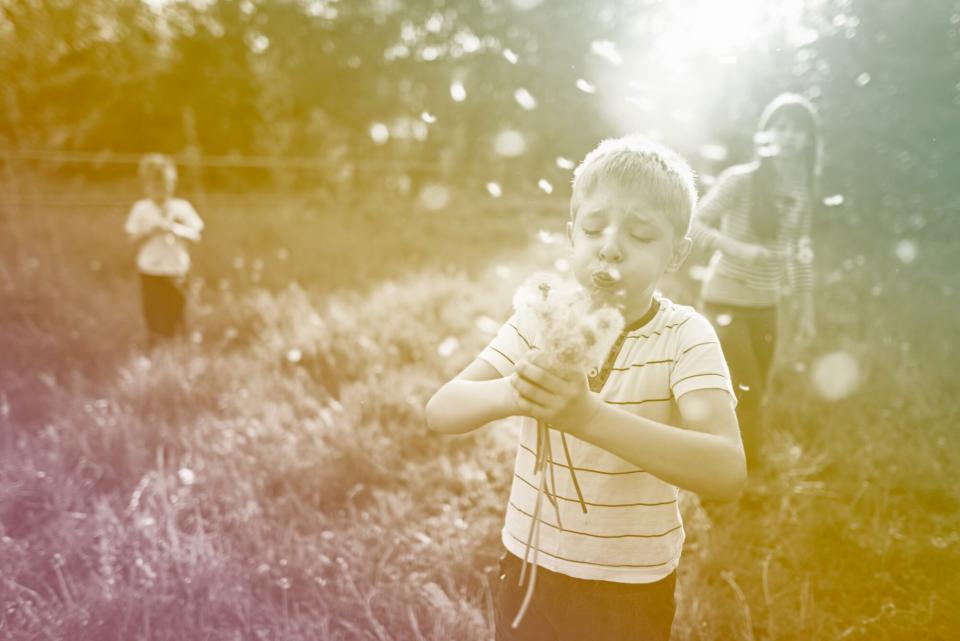 kids blowing dandelions in field