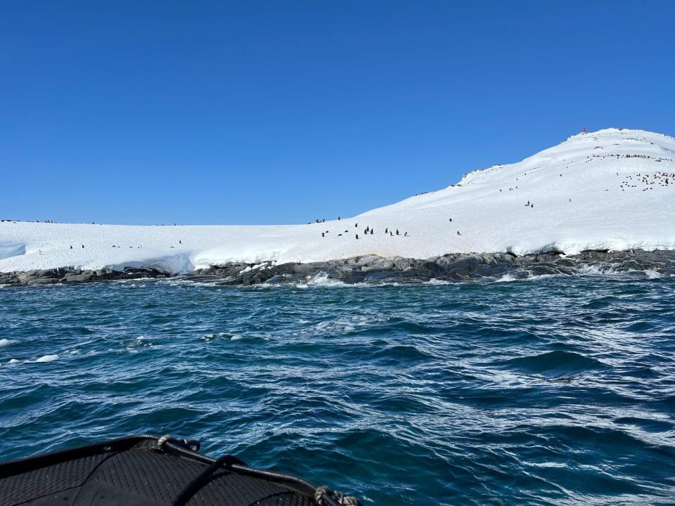 A view from a boat where penguins can be seen on a snowy coastline in Antarctica.