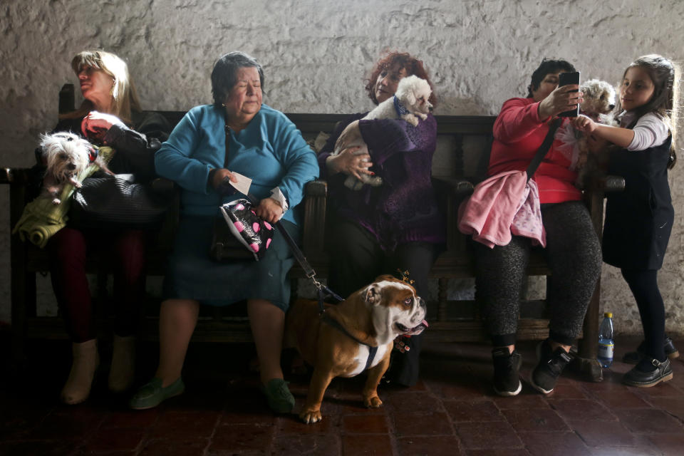 Parishioners sit with their pets as they wait for a priest's blessing inside the San Francisco Catholic church marking the feast day of St. Francis of Assisi, in Santiago, Chile, Thursday, Oct. 4, 2018. Traditional stories about the life of St. Francis say he had a great love for animals and the environment. (AP Photo/Esteban Felix)