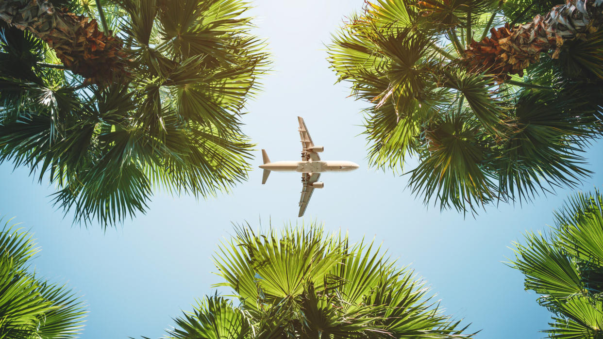 airplane flying through palm trees