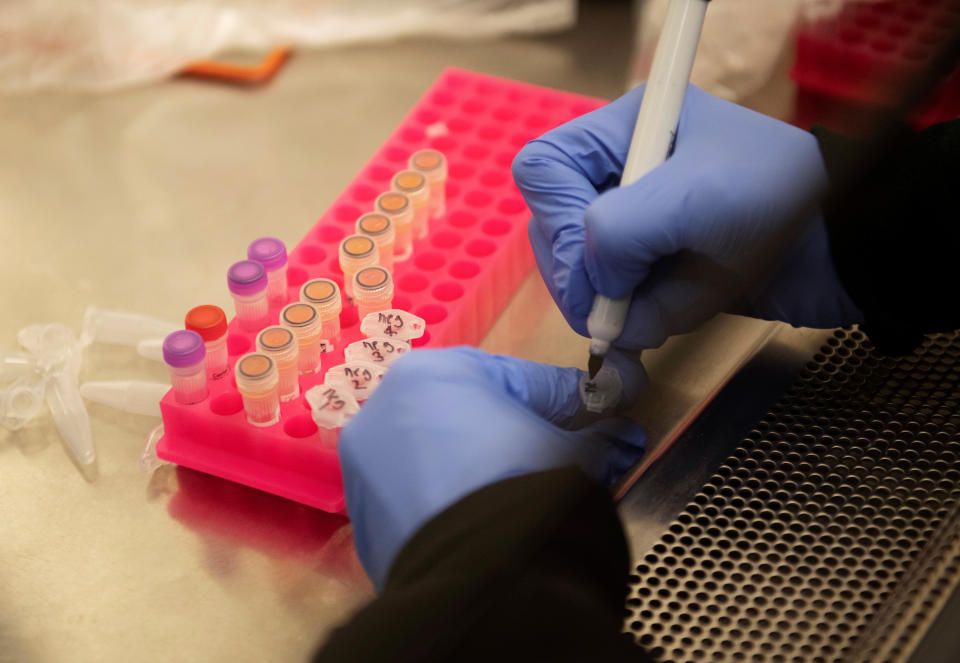 Researchers at the Microbiology Research Facility work with coronavirus samples as a trial begins to see whether malaria treatment hydroxychloroquine can prevent or reduce the severity of the coronavirus disease (COVID-19), at the University of Minnesota in Minneapolis, Minnesota, U.S. March 19, 2020.  REUTERS/Craig Lassig