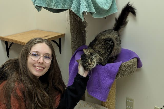 <p>Dakin Humane Society</p> Shoto the cat at Dakin Humane Society in Springfield, Mass.