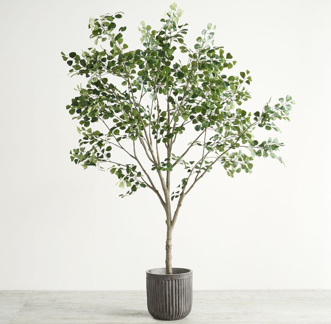 <p><a href="https://go.redirectingat.com?id=74968X1596630&url=https%3A%2F%2Fwww.potterybarn.com%2Fproducts%2Ffaux-shady-lady-olive-tree%2F&sref=https%3A%2F%2Fwww.elledecor.com%2Fdesign-decorate%2Fg60399178%2Fbest-faux-olive-trees%2F" rel="nofollow noopener" target="_blank" data-ylk="slk:Shop Now;elm:context_link;itc:0;sec:content-canvas" class="link rapid-noclick-resp">Shop Now</a></p><p>Faux Shady Lady Olive Tree </p><p>potterybarn.com</p><p>$549.00</p>