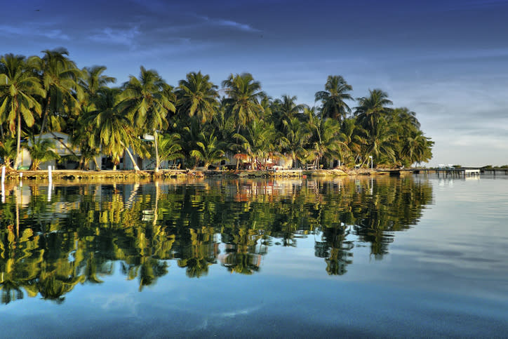 Palm tree covered island in Belize just off the main coast, with calm blue waters.