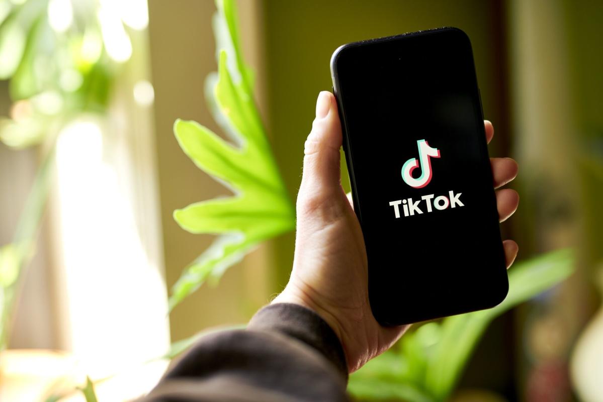 TikTok prepares for US divestment or ban law – and a legal fight