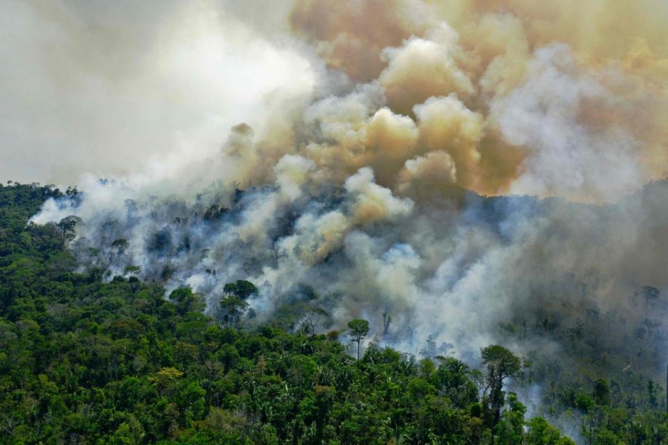 Aerial view of a burning area of Amazon rainforest reserve, south of Novo Progresso in Para state, Brazil (AFP via Getty Images)