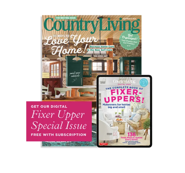 <p><a href="https://shop.countryliving.com/country-living-magazine-sem.html" rel="nofollow noopener" target="_blank" data-ylk="slk:Shop Now;elm:context_link;itc:0;sec:content-canvas" class="link ">Shop Now</a></p><p>Country Living Magazine Subscription</p><p>countryliving.com</p><p>$14.00</p><span class="copyright">Country Living</span>