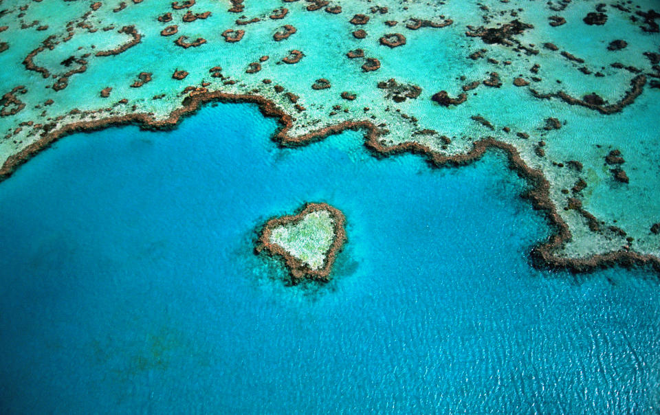 Dem „Great Barrier Reef“ vor Australien geht es besser (Bild: Getty Images)