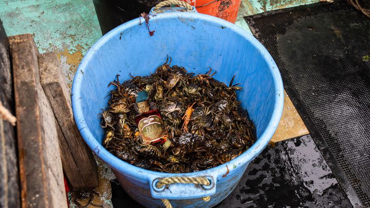 Crab-Flavored Whiskey