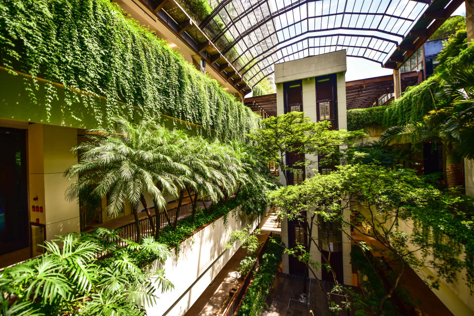 Greenery is essential to JHSF’s shopping centers.