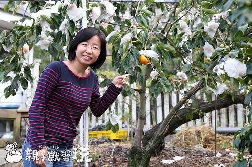 超跳tone親子住宿！嗨到不想睡的樹屋溜滑梯親子房：黃慶果園民宿