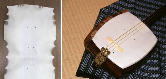 A string instrument with a white covering with tiny holes