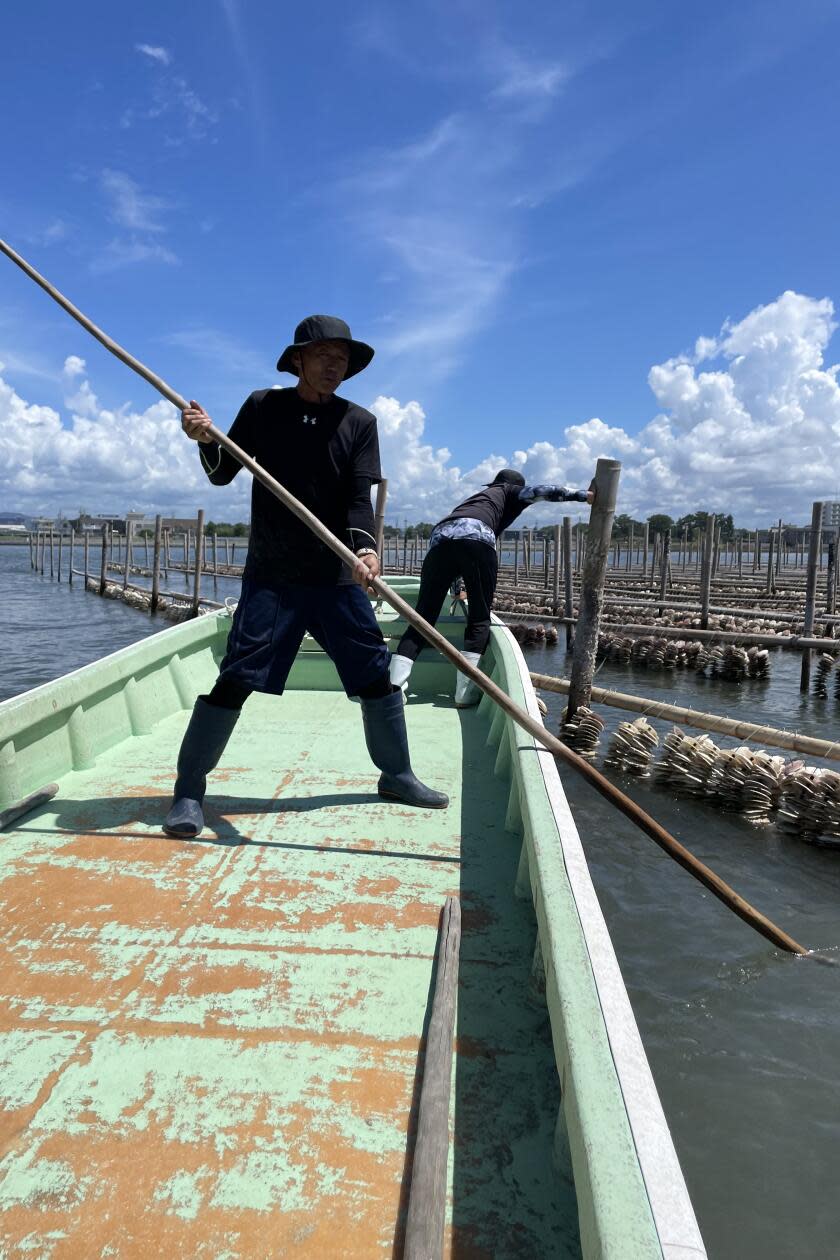 Oyster farmer in Maisaka, Japan