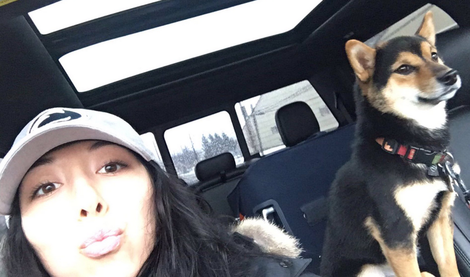 The daughter of the Buffalo Bills owners has lost her precious dog, Yoshi, and needs your help. (@KPegula)