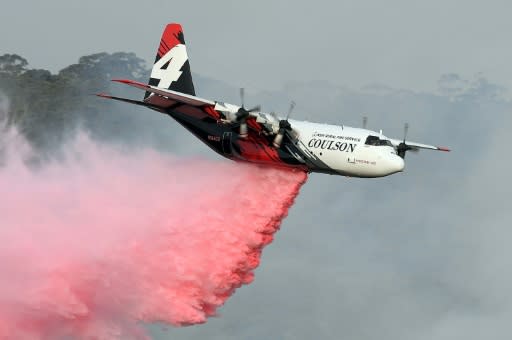 A Coulson Aviation C-130 Hercules dropping fire retardent during a sortie in early January