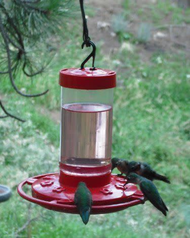 4) First Nature Hummingbird Feeder