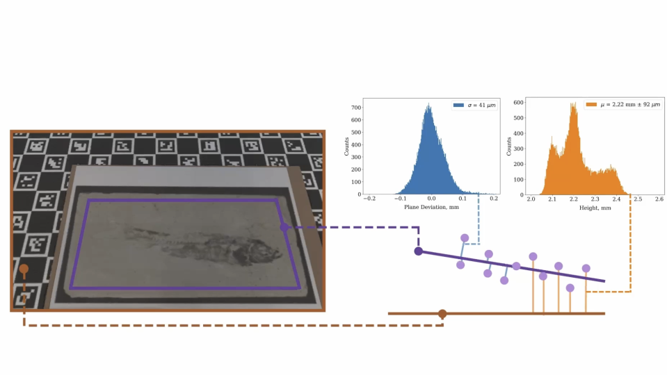 Esquerda: um fóssil de peixe em frente ao painel de calibração de um scanner.  À direita: gráficos mostrando a análise dos dados.