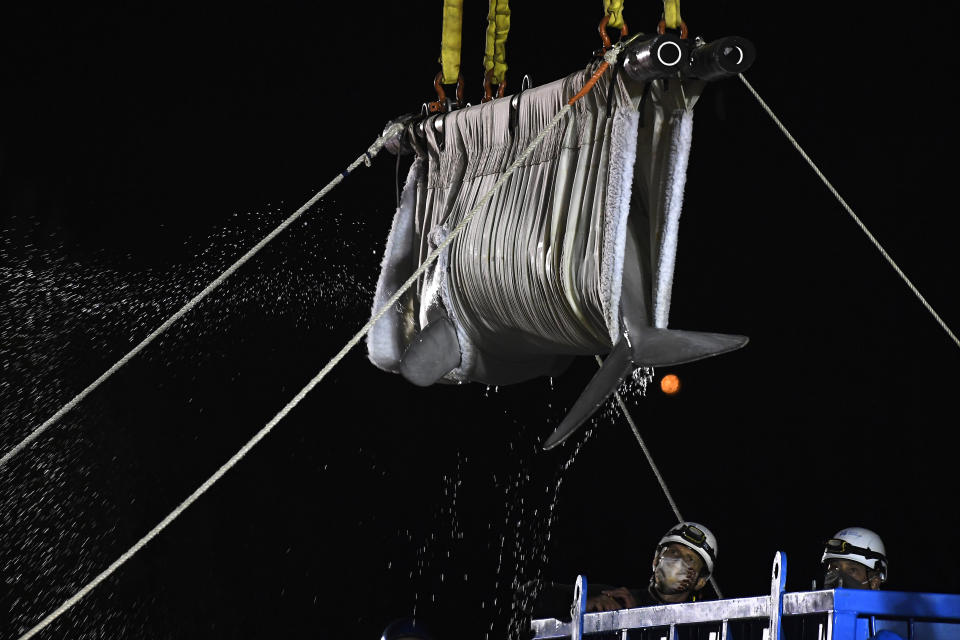 A Beluga whale is transported at Mystic Aquarium after arriving from Canada, Friday, May 14, 2021 in Mystic, Conn. A total of five Beluga whales from Marineland in Niagara Falls, Ontario, Canada will be moved to the aquarium. The whales will be leaving an overcrowded habitat with about 50 other whales and will be at the center of important research designed to benefit Belugas in the wild. (AP Photo/Jessica Hill)