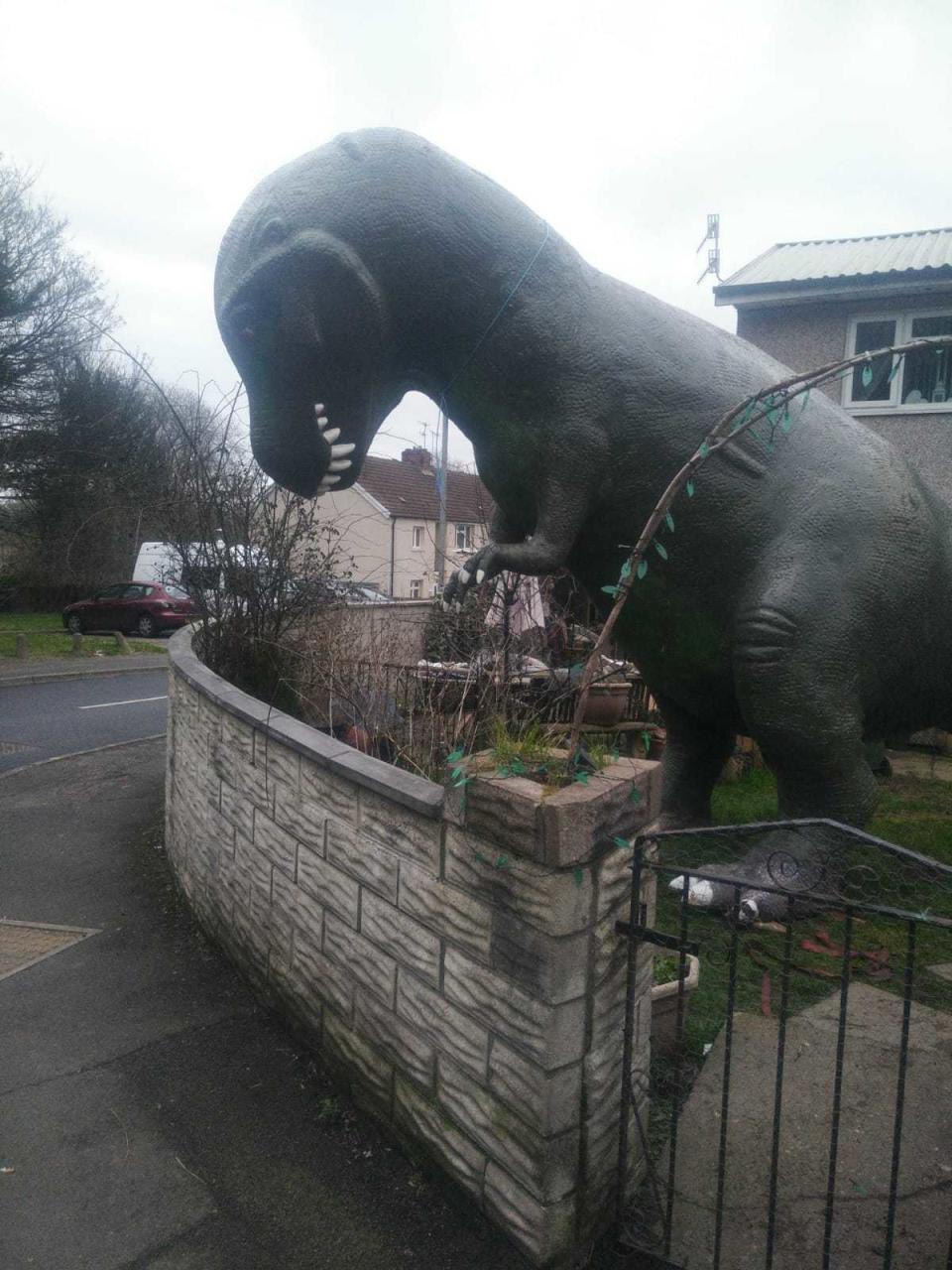 The dinosaur has caused locals to flock to the garden. (Wales News)