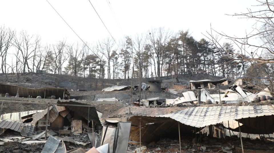 2022年3月，韓國爆發破紀錄森林大火，長達十天的火災燒毀蔚珍和三陟一帶的森林，總面積近2萬個足球場大小。