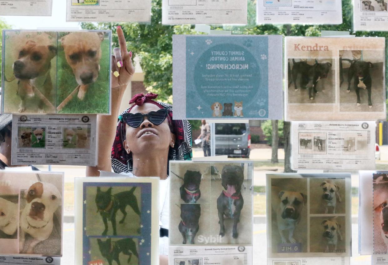 Chatika Davis looks at dog postings on the window of the Summit County Animal Control facility in Akron. One possible solution to the facility's overcrowding issue could be making the adoption process clearer to would-be adopters, advocates and officials say.