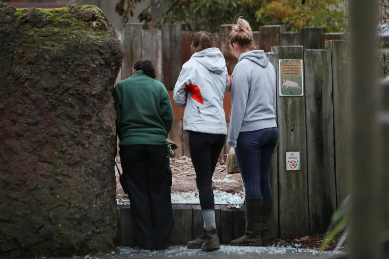 London Zoo employees stand outside an animal enclosure after a fire