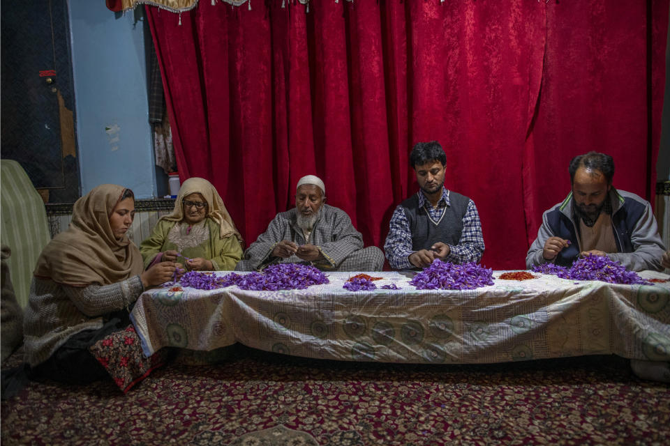 Kashmiri farmer Mohammad Ramzan, center, along with his family members remove the stigma of crocus flowers inside their house in Khrew, south of Srinagar, Indian controlled Kashmir, Saturday, Oct. 31, 2020. The farmers separate purple petals of the flowers by hand and, from each of them, come out three deep crimson-colored stigmas, one of the most expensive and sought-after spice in the world called saffron, also known as “the golden spice." Across the world, saffron is used in multiple products ranging from medicine, beauty and food. A kilogram (2.2 pounds) of saffron can easily sell anywhere between $3,000 to $4,000. (AP Photo/Dar Yasin)