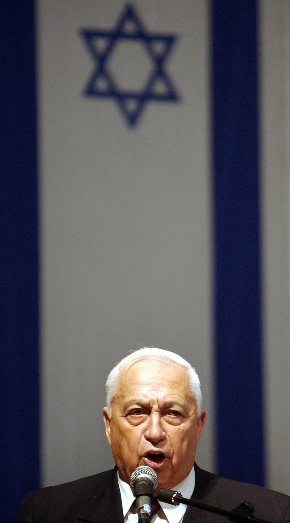 FILE - In this Monday, Jan. 5, 2004 file photo, Israeli Prime Minister Ariel Sharon speaks during a meeting of the central committee of his right-wing Likud party in Tel Aviv. The son of former Israeli Prime Minister Ariel Sharon says his father has died on Saturday, Jan. 11, 2014. The 85-year-old Sharon had been in a coma since a debilitating stroke eight years ago. His son Gilad Sharon said: "He has gone. He went when he decided to go." (AP Photo/Ariel Schalit, File)