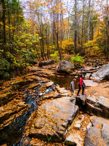 <p>Cedric Angeles</p> George Washington & Jefferson National Forests are popular with hikers.