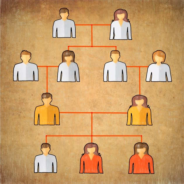 Studying families with married cousins can help researchers spot rare disease-causing genes. In this family, two cousins (yellow) each carry a rare mutation in the BCKDK gene. Their daughters (red), with two mutated copies of the gene, have epilepsy and autism. Their son (white) has two normal copies; other forebears (white) are unknown. (Steve McDonald / <em>Spectrum</em>)