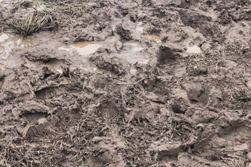 Another image of the muddy conditions at Newcastle Racecourse