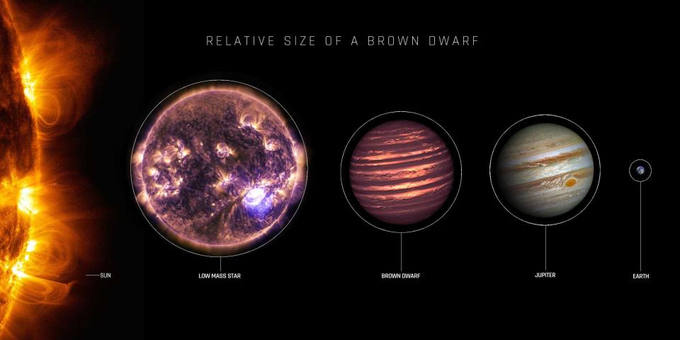 The relative size of a typical brown dwarf star. In the instance of the star in this study, the brown dwarf is smaller than Jupiter (between 0.65 and 0.95 its radius) but is more massive, somewhere between four and 44 times the mass of Jupiter. CREDIT: NASA/JPL.