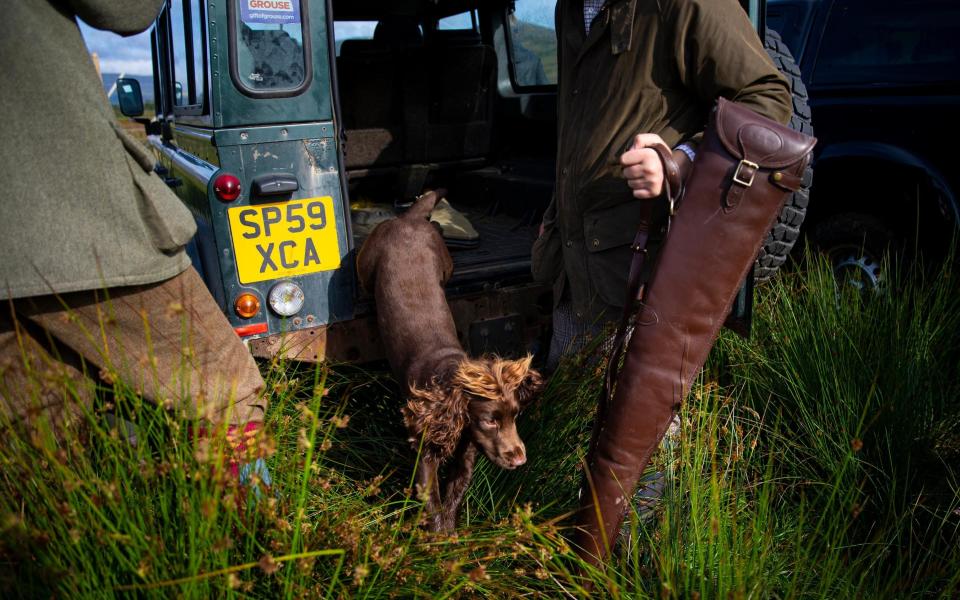 Traditionally shooters and dogs pile into Land Rovers - but the future is more spaced out - Getty