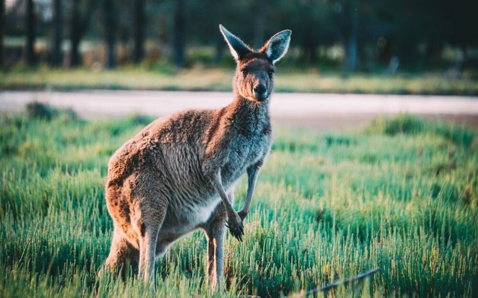 Heirisson Island, Perth