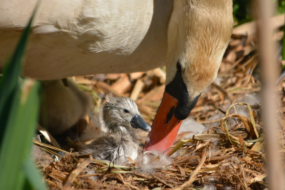 'Welcome to the World' by Donna Lane shows a parent doting on her baby.