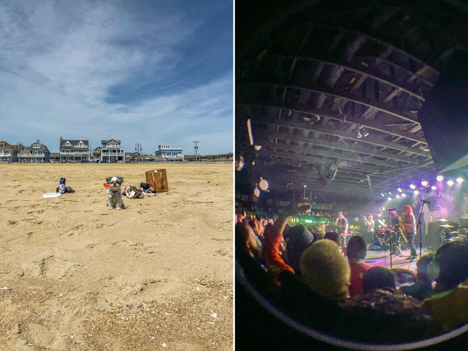 Left: A small dog sits on the beach with houses in the background RIght: A fish eye view of a stage from the crowd